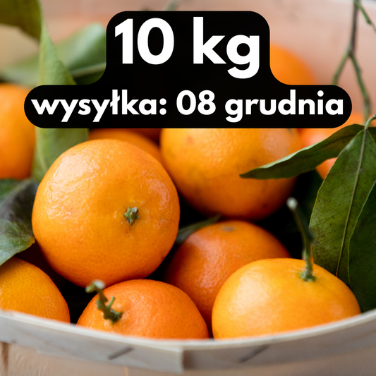 10 kg — świeże pomarańcze prosto z sadu w Hiszpanii, wysyłka 08/12/2025
