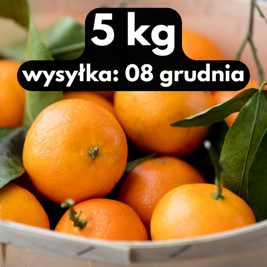5 kg — świeże pomarańcze prosto z sadu w Hiszpanii, wysyłka 08/12/2025